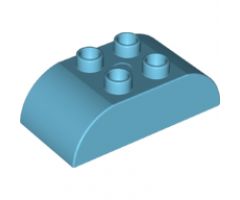 Duplo, Brick 2 x 4 Curved Top