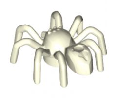 Spider with Elongated Abdomen