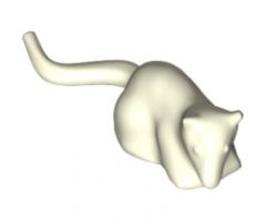 Rat