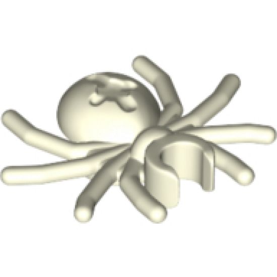 Spider with Round Abdomen and Clip
