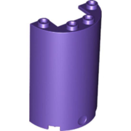 Cylinder Half 2 x 4 x 5 with 1 x 2 Cutout
