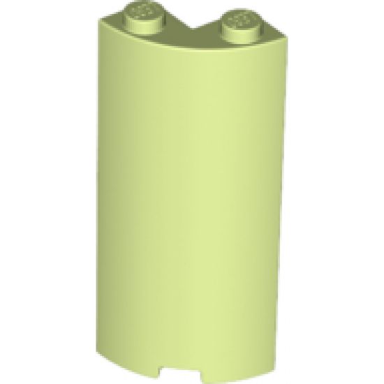 Cylinder Quarter 2 x 2 x 5 with 1 x 1 Cutout