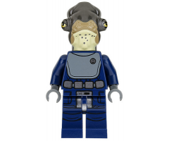 Admiral Raddus