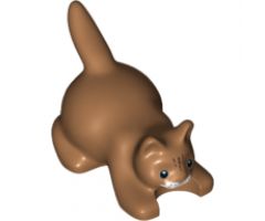 Cat, Crouching with Black Eyes, Dark Brown Stripes on Head and White Muzzle Pattern