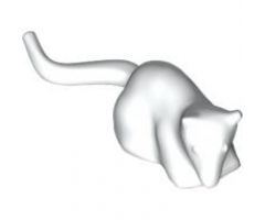 Rat