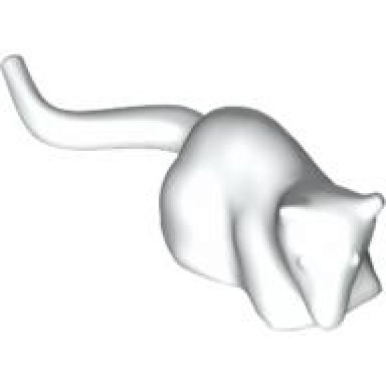 Rat