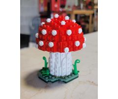 Amanita Muscaria Mushroom