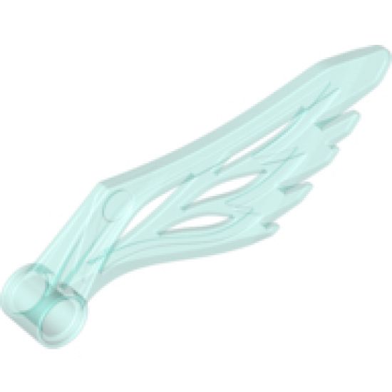 Animal, Body Part Wing with Pin Hole