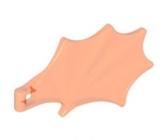Animal, Body Part Dragon Wing
