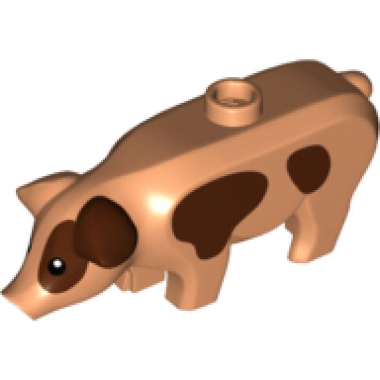 Pig with Black Eyes, White Pupils and Dark Brown Spots Pattern