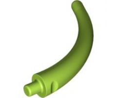 Animal, Body Part Dinosaur Tail End Section / Horn