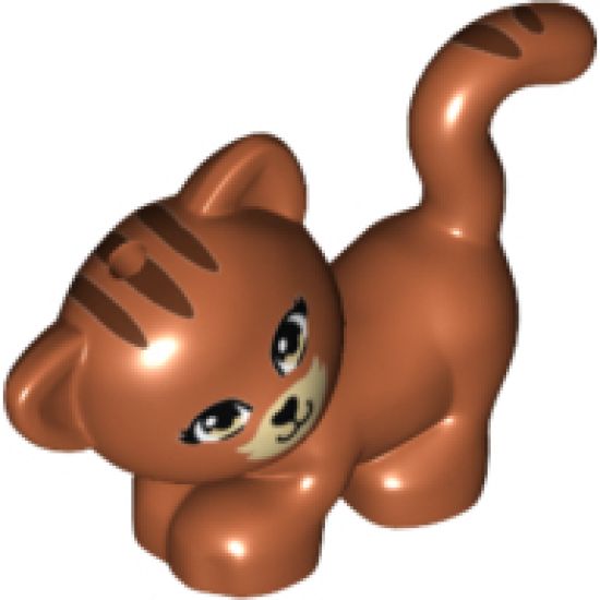 Cat, Friends, Standing and Looking Left with Tan Eyes and Muzzle, Black Nose and Mouth and Reddish Brown Stripes Pattern