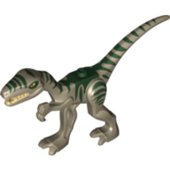 Animal, Dinosaur Coelophysis / Gallimimus with Dark Green Stripes and Yellow Eyes Pattern