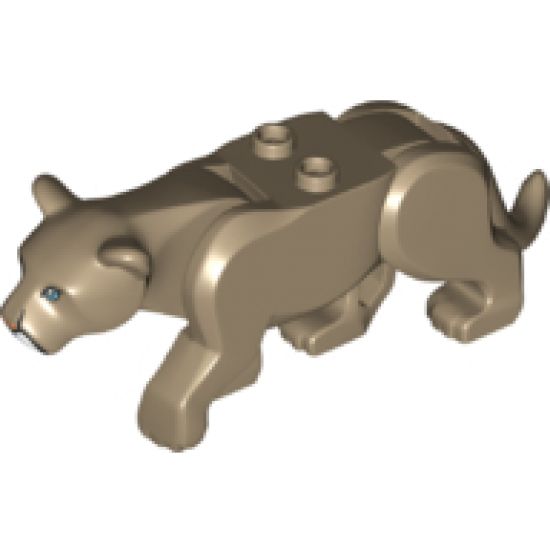 Cat, Large (Mountain Lion) with White Muzzle, Medium Azure Eyes and Nougat Nose Pattern