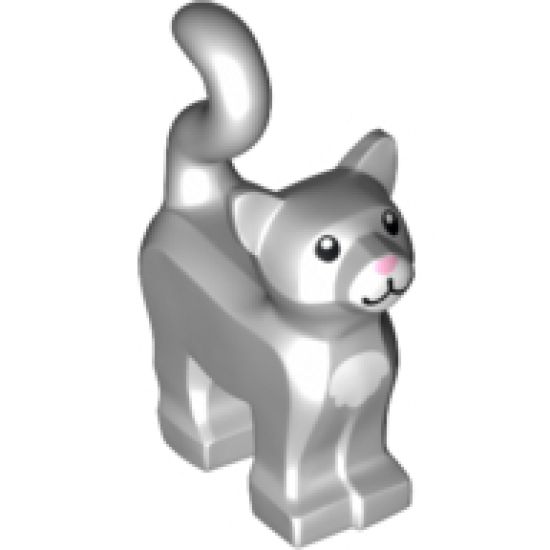 Cat, Standing with White Chest and Muzzle and Bright Pink Nose Pattern