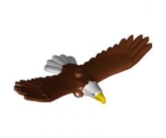 Animal, Air Eagle with Yellow Beak, White Head and Tail Feathers Pattern