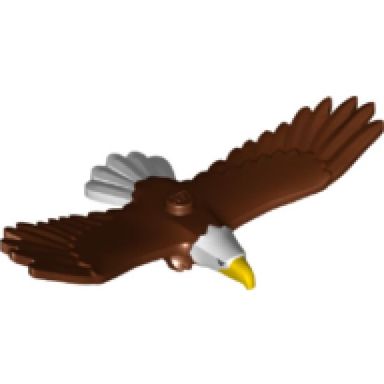 Animal, Air Eagle with Yellow Beak, White Head and Tail Feathers Pattern