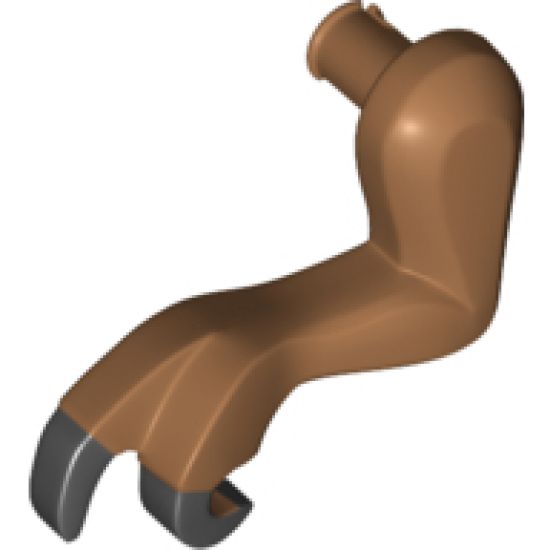 Animal, Body Part Dinosaur Leg Small (Front) Tyrannosaurus rex with Black Claws Pattern - Left