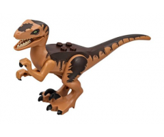 Animal, Dinosaur Raptor / Velociraptor with Dark Brown Back