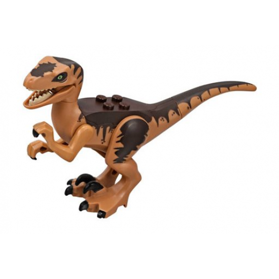 Animal, Dinosaur Raptor / Velociraptor with Dark Brown Back