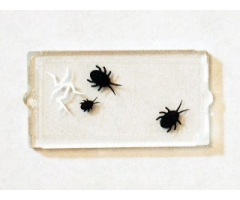 Glass for Window 1 x 2 x 3 with 3 Black Insects and Cracked Window Pattern (Sticker) - Set 75904
