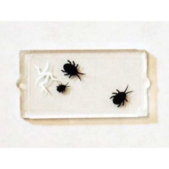 Glass for Window 1 x 2 x 3 with 3 Black Insects and Cracked Window Pattern (Sticker) - Set 75904