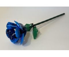 Blue Rose