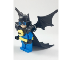 Nightwing - Wings and Cape
