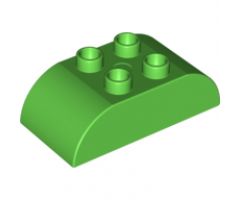 Duplo, Brick 2 x 4 Curved Top