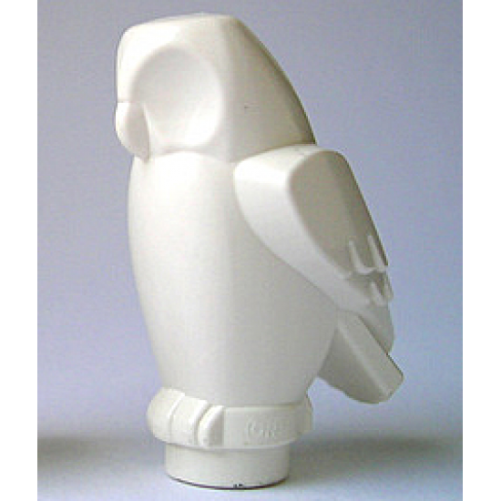 Animal, Air Owl, Angular Features
