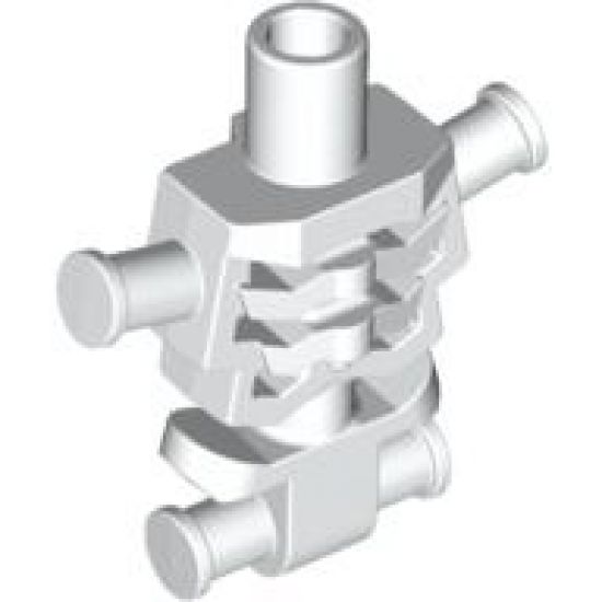 Torso Skeleton, Angular Rib Cage, Plain