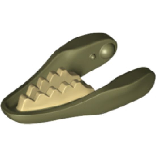 Animal, Body Part Dinosaur Jaw Lower Raptor with Tan Teeth Pattern