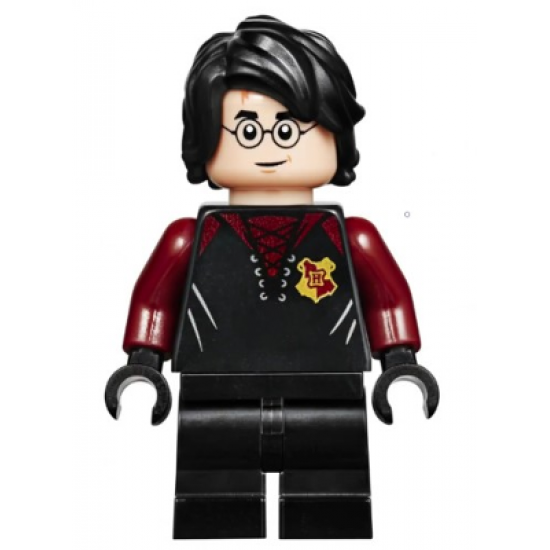 Harry Potter, Black and Dark Red Uniform