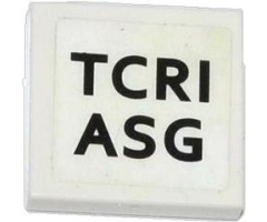 Tile 2 x 2 with 'TCRI' and 'ASG' Pattern (Sticker) - Set 79104