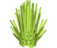 Plant Prickly Bush 2 x 2 x 4