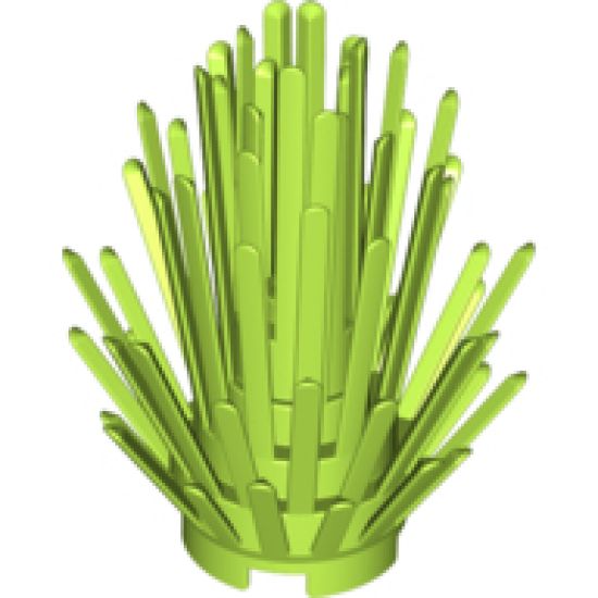 Plant Prickly Bush 2 x 2 x 4