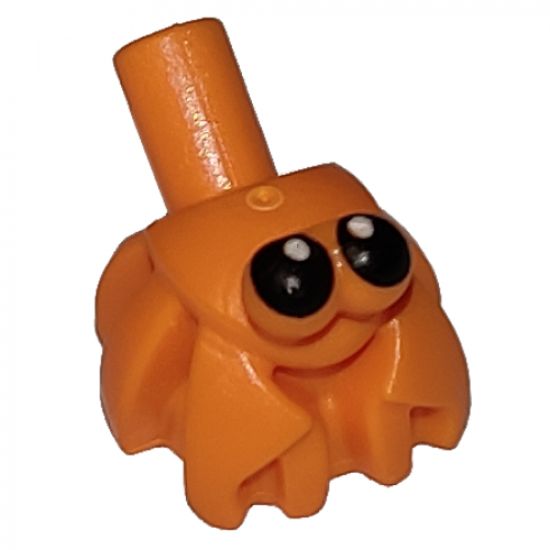Hermit Crab, Bar on Back with Black Eyes Pattern