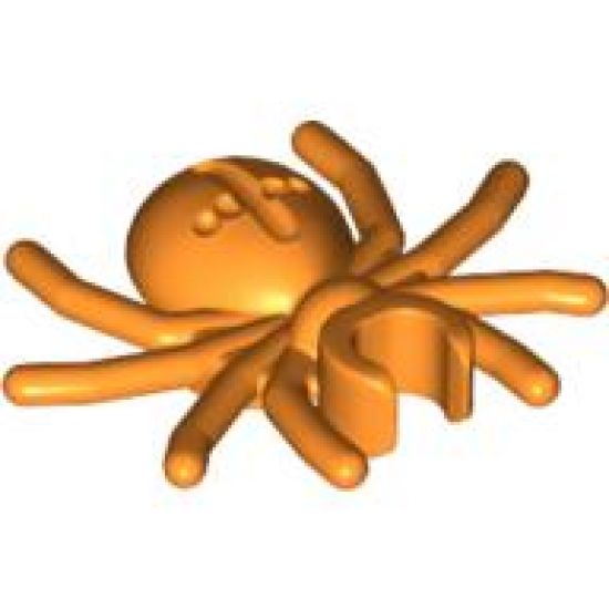 Spider with Round Abdomen and Clip
