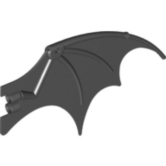 Animal, Body Part Dragon Wing 19 x 11