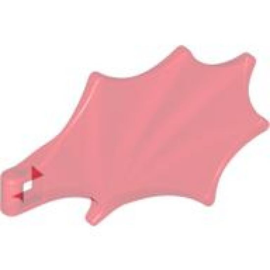 Animal, Body Part Dragon Wing