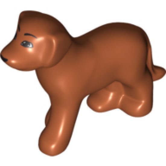 Dog, Belville, Standing with Black Eyes, Eyebrows and Nose Pattern