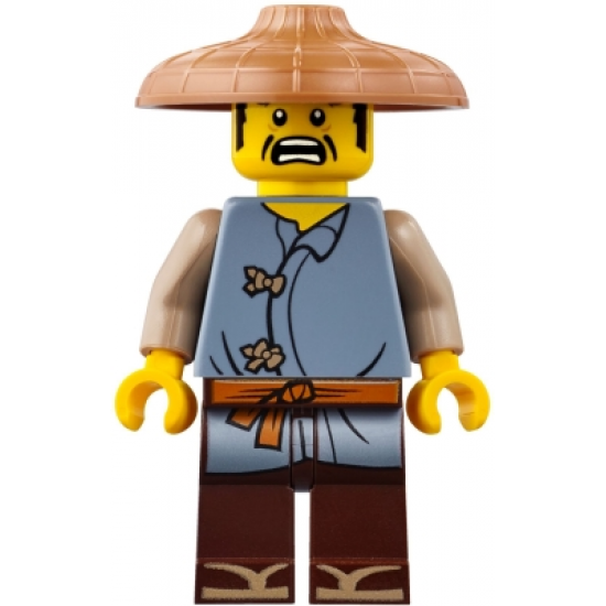 Ray, Conical Hat