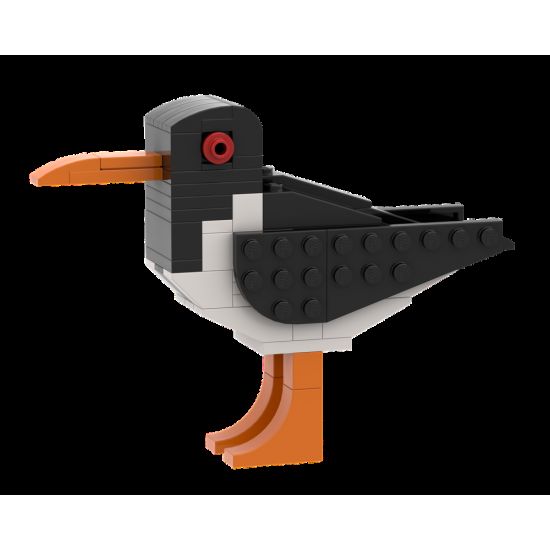 Simple Oystercatcher