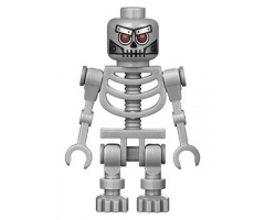 Robo Skeleton