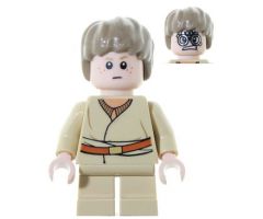 Anakin Skywalker (Short Legs, Hair)