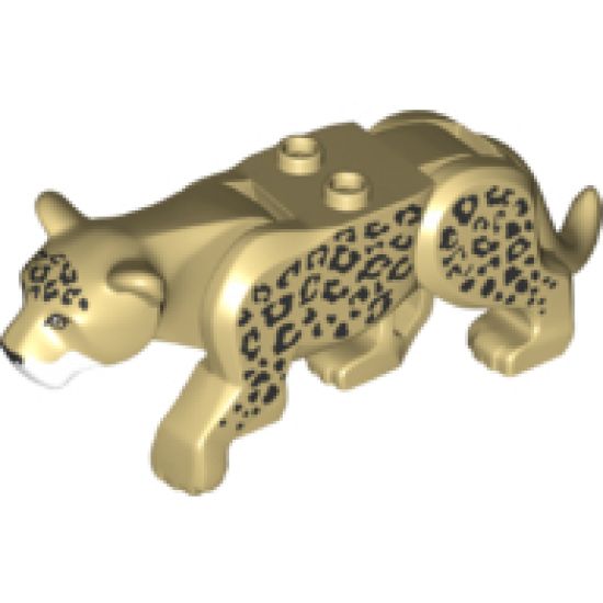 Cat, Large (Leopard) with White Muzzle and Black Nose and Spots Pattern