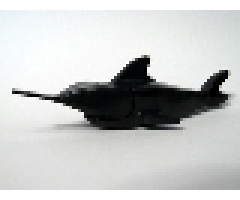 Sawfish