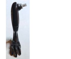 Animal, Body Part Dinosaur Limb Medium - Right (Raptor Leg)