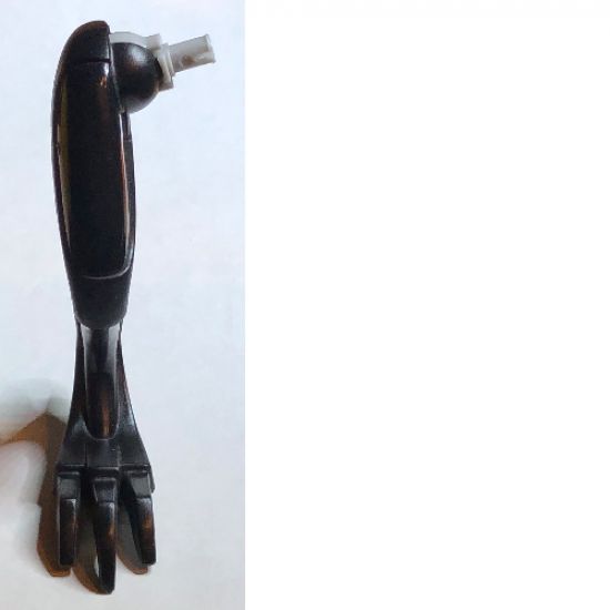 Animal, Body Part Dinosaur Limb Medium - Right (Raptor Leg)