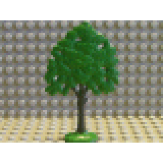 Plant, Tree Flat Oak painted with solid base
